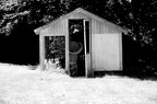 The old greenhouse