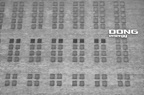DONG