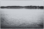 Waters