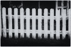 White fence, no less