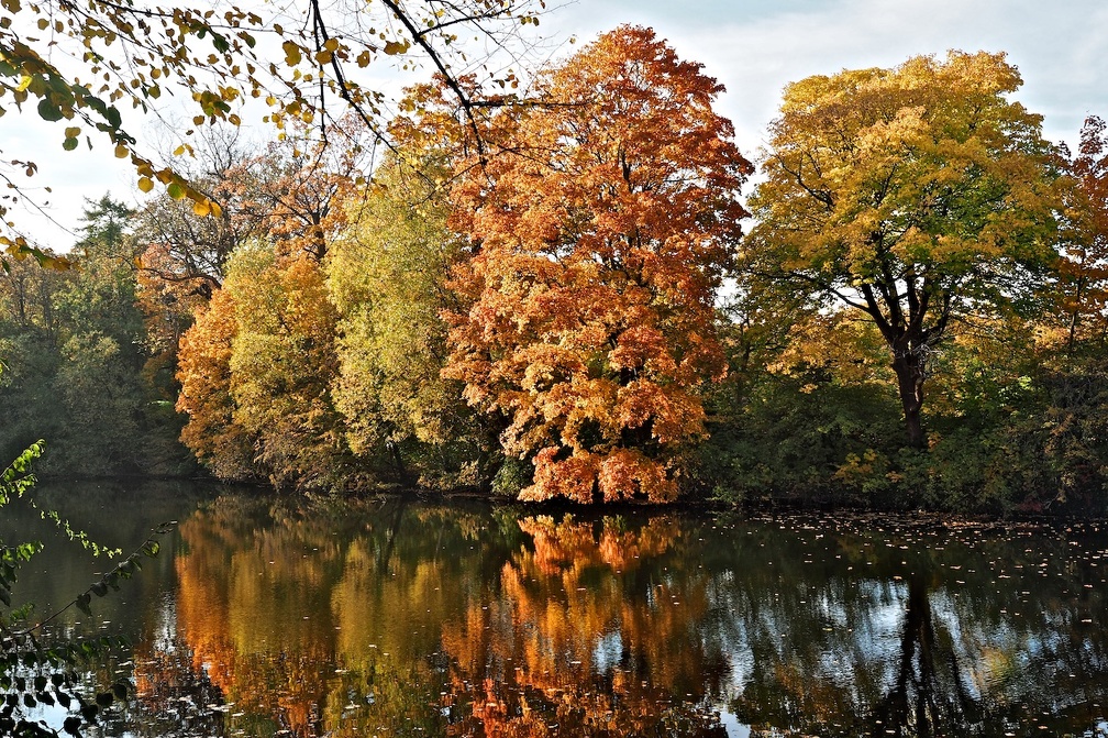 PA130482.jpg