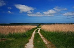 The road to Kulhuse pier