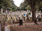 Glasnevin Glasnevin