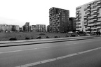 P1050488