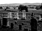 IMG-4195-lzn