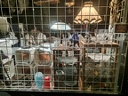 IMG 20221226 170059