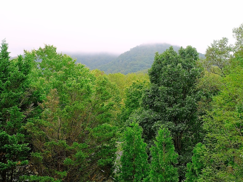 PA040006
