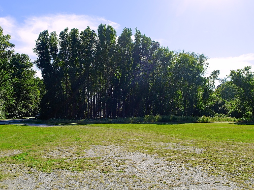 PA090227.jpg