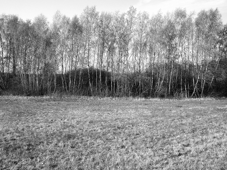 Black and white