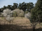 P4130126