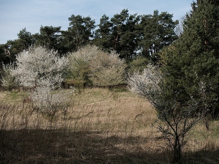 P4130126