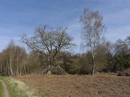P4130142