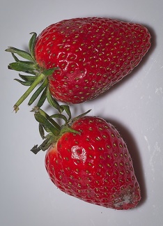 P4240019