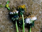 Decay