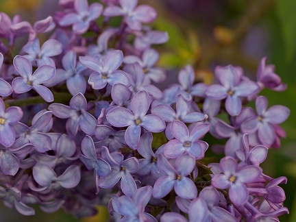P5040022