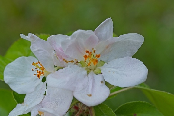 P5040028