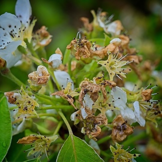 P5040043