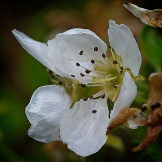 P5040045