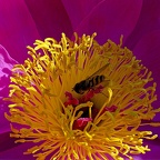 P6140033