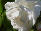 P6140046