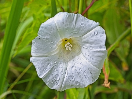 P6280094
