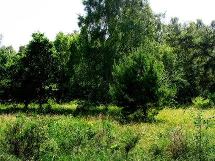P6290368
