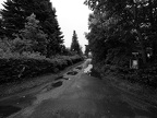 P8030227