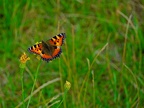 P7240175