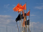 P7200113