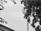 P7130044