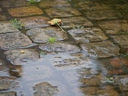 P7130036