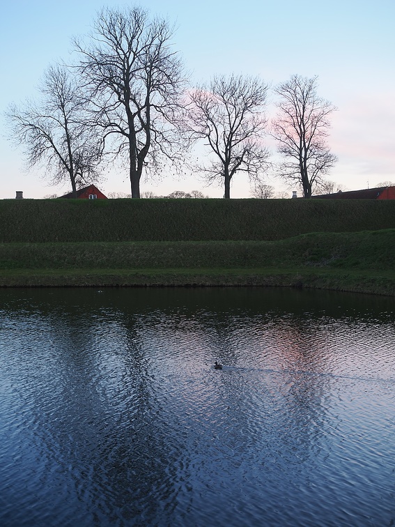 P3300006.jpg