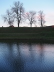 P3300006