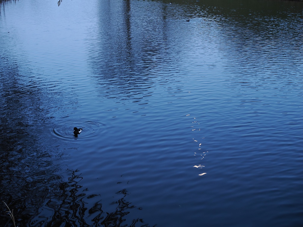 P3300007.jpg