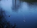 P3300007