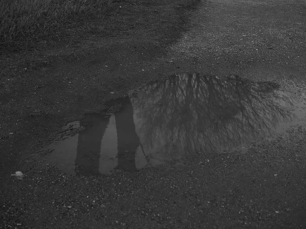 P3300013.jpg