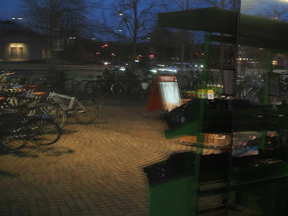 P3300016.jpg